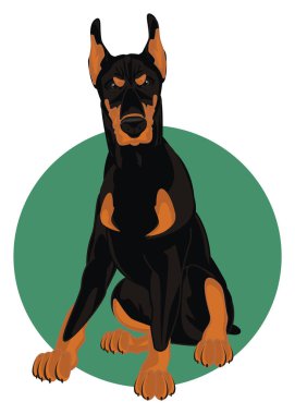 kötü doberman ve yuvarlak işareti