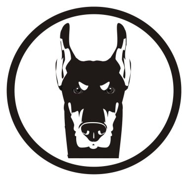 doberman siyah beyaz yüzü