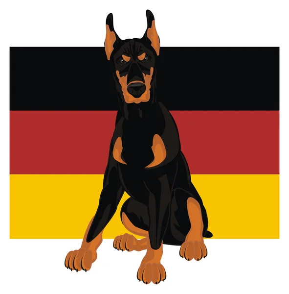邪悪なドーベルマンとドイツの旗 — ストック写真