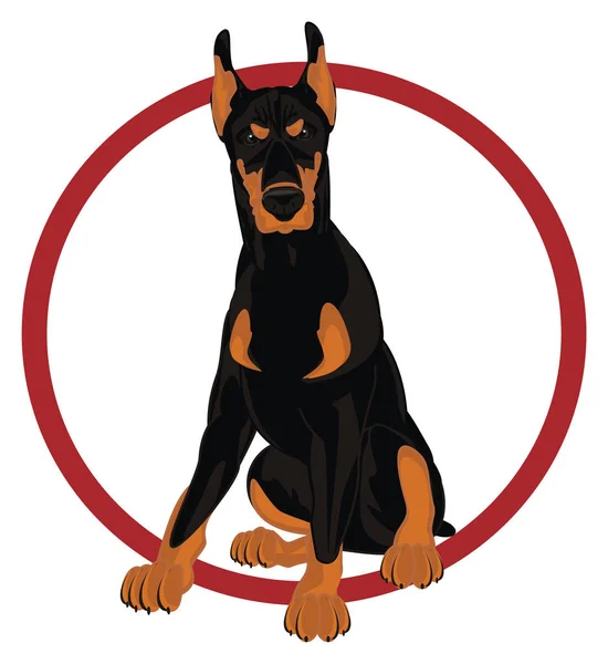 Doberman Malvado Andred Signo —  Fotos de Stock