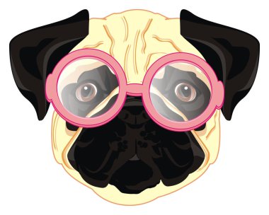 pembe gözlük pug snout