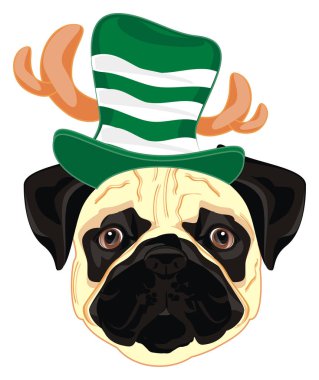 boynuzları ile şapka pug yüzü