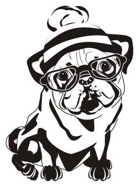şapka ve gözlük siyah ve beyaz pug