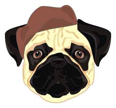 kahverengi kap pug snout