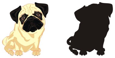 onun siyah gölge ile bej pug