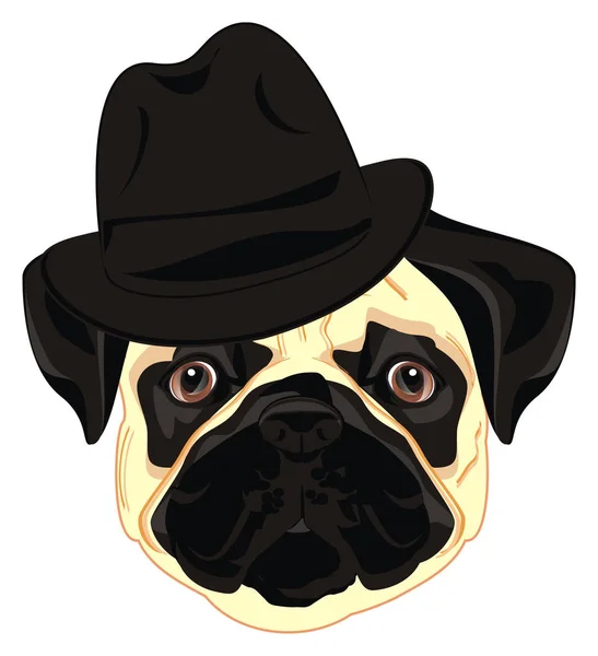 muzzle of pug in black hat