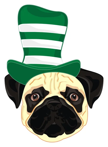 face of pug in football\'s hat