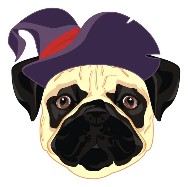 Snout Pug Halloween Hat — Zdjęcie stockowe