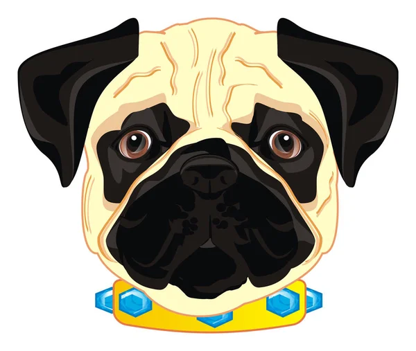 Face Pug Collar Dianats — Stock Photo, Image