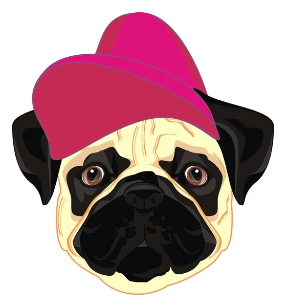 face of pug in pink hat