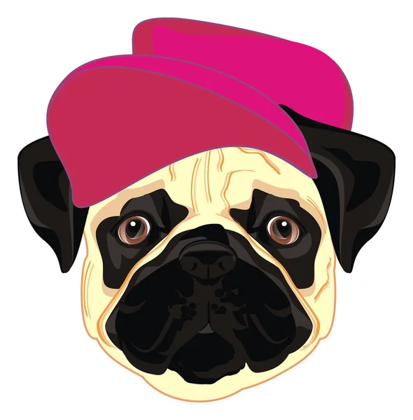 Snout Pug Cool Pink Cap — Zdjęcie stockowe