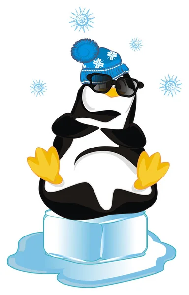 Смешной Пингвин Синей Шляпе Солнцезащитных Очках — стоковое фото