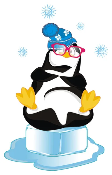 funny penguin in blue hat sit on ice floe