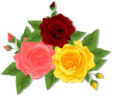 Gri gölgeli bir sürü renkli gül.