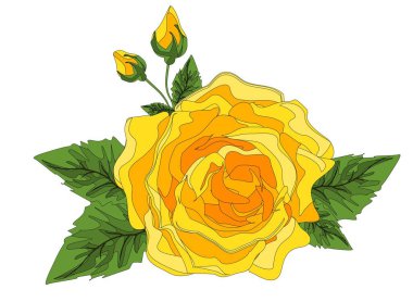 Siyah çizgileri olan sarı güller