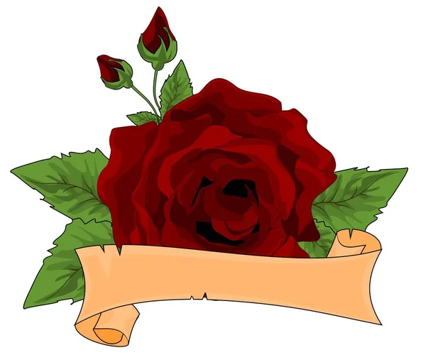 赤いバラときれいなリボン — ストック写真