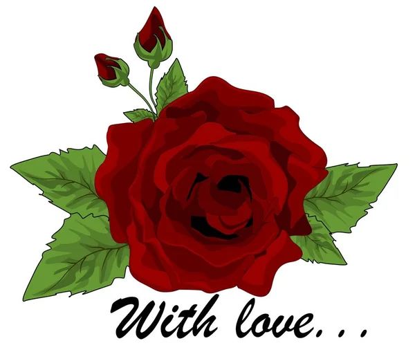 Red Roses Words Love — Stock Photo, Image