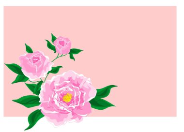 Pembe arkaplandaki pembe piyon dalları