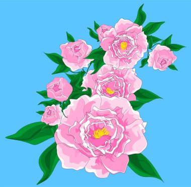 Mavi arkaplandaki pembe önlüklerin dalı