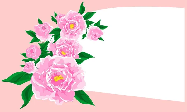 Рожева Листівка Гілкою Рожевих Півоній — стокове фото