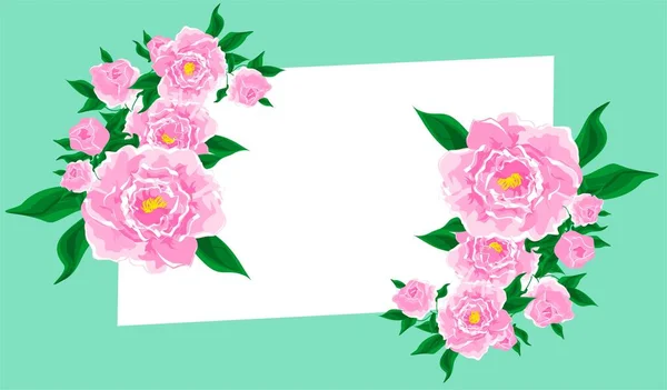 Ветвь Розового Пиона Зелёном Белом Фоне — стоковое фото