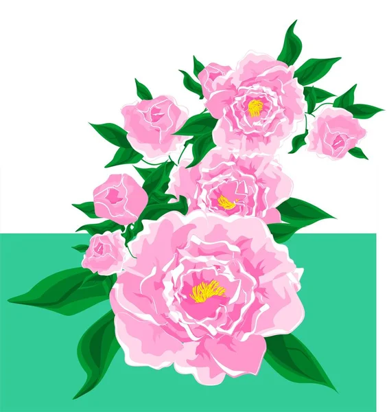 Carte Avec Bouquet Pivoines Roses — Photo