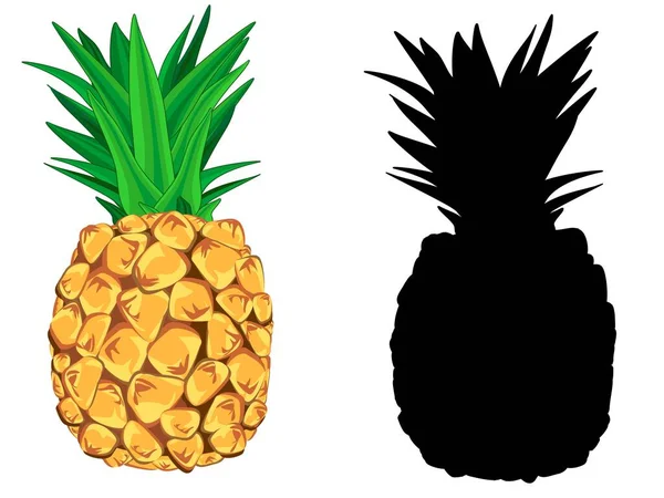 Barevné Pevné Černé Ananas — Stock fotografie