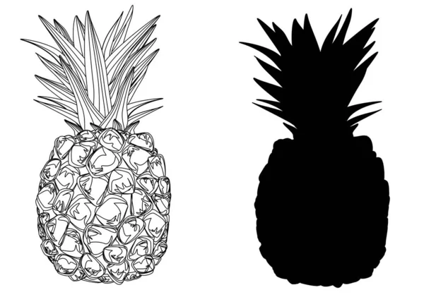 Zbarvení Pevný Černý Ananas — Stock fotografie