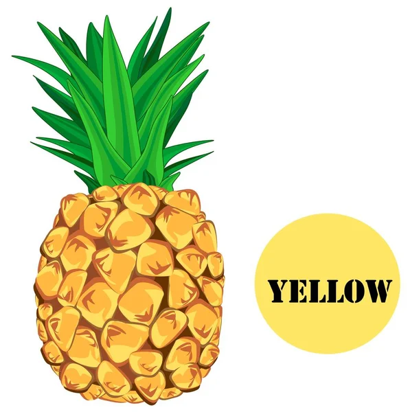 Abacaxi Amarelo Sinal Com Palavra Amarelo — Fotografia de Stock