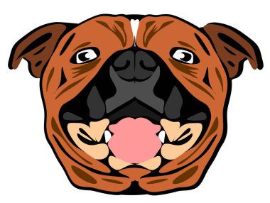 Beyaz arkaplandaki ampersonelin yüzü