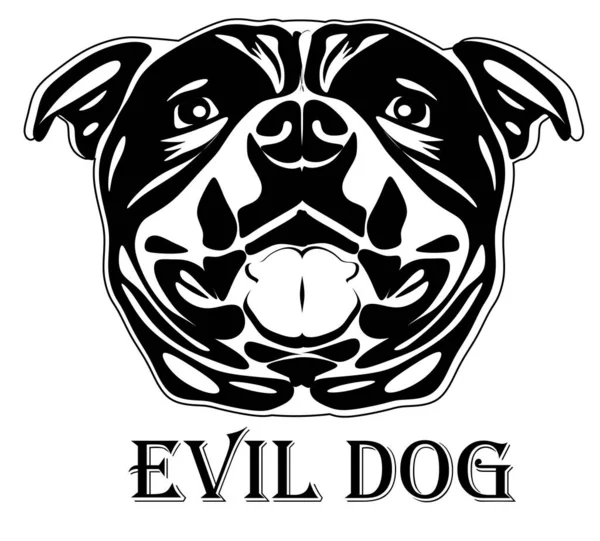 Black White Pit Bull Evil Dog — Stock Photo, Image