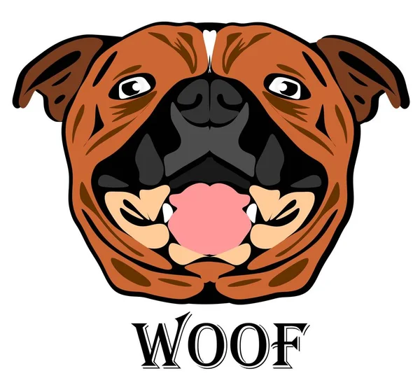 Gesicht Von Amstaff Say Woof — Stockfoto