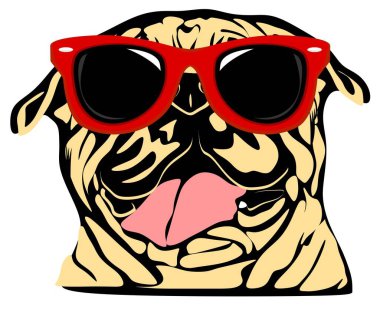 Güneş gözlüklü sevimli şişman paspaslar.