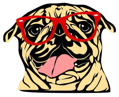 Kırmızı gözlüklü sevimli şişman paspaslar.