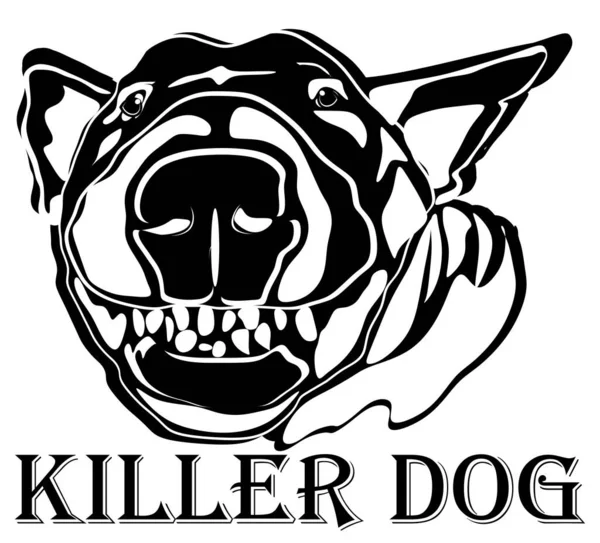 Negro Blanco Bull Terrier Perro Asesino — Foto de Stock