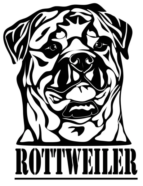 Rottweiler Blanco Negro Letras — Foto de Stock
