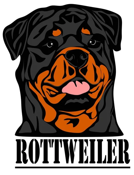 Hocico Rottweiler Fuerte Letras — Foto de Stock