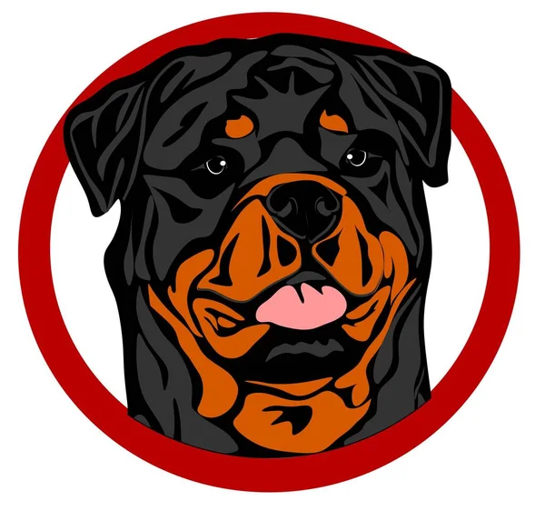 Ρύγχος Του Ισχυρού Rottweiler Στην Κόκκινη Πινακίδα Του Δρόμου — Φωτογραφία Αρχείου