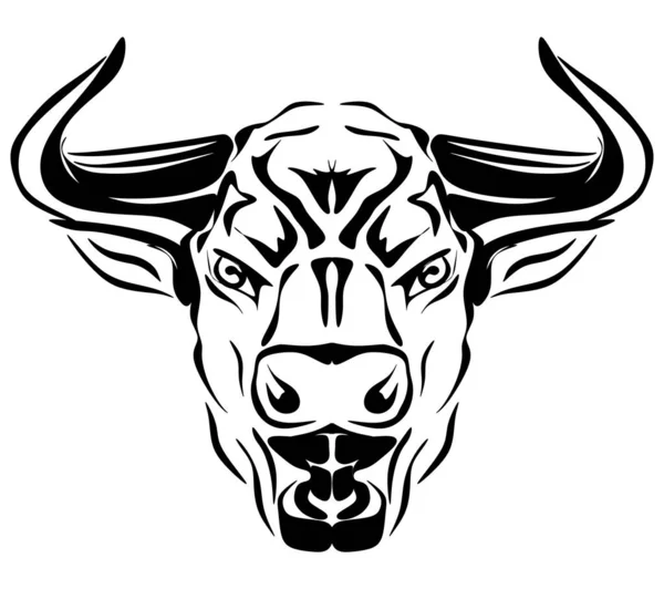 head of bull on a white background