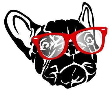 Kırmızı gözlüklü Fransız bulldog köpeği.
