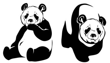 Bir çift siyah beyaz panda.
