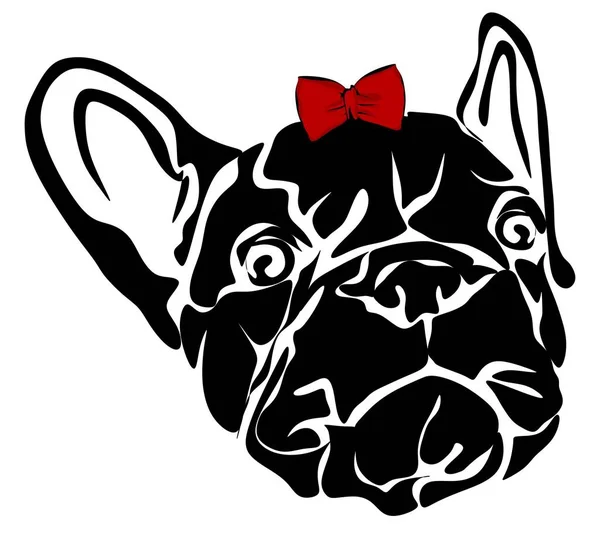 Welpe Der Französischen Bulldogge Mit Roter Schleife — Stockfoto