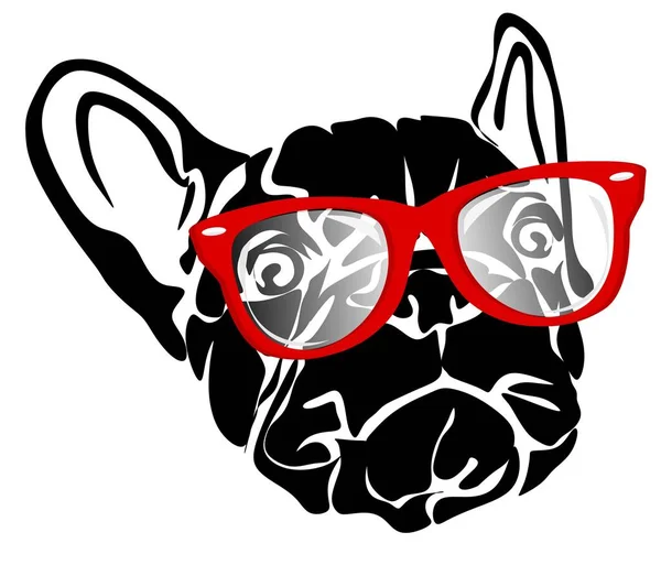 Welpe Einer Französischen Bulldogge Mit Roter Brille — Stockfoto