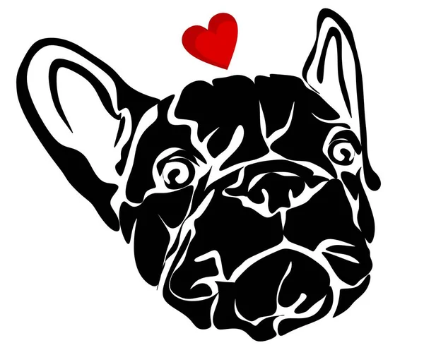 Kiskutya Francia Bulldog Piros Szívvel — Stock Fotó
