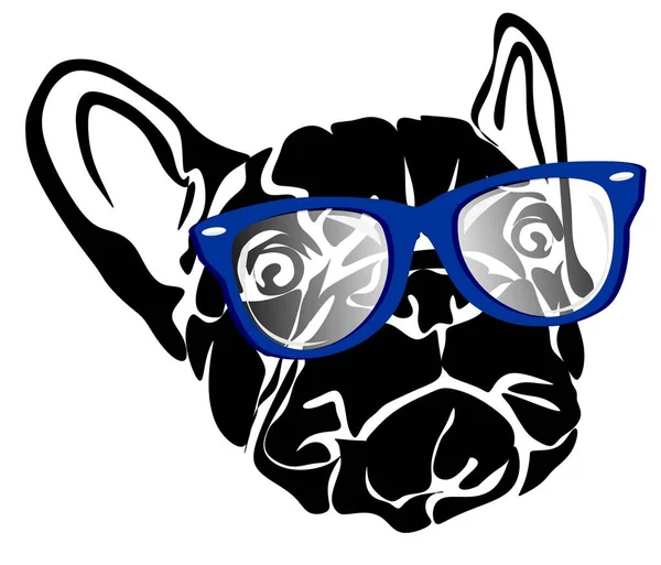 Welpe Einer Französischen Bulldogge Mit Blauer Brille — Stockfoto