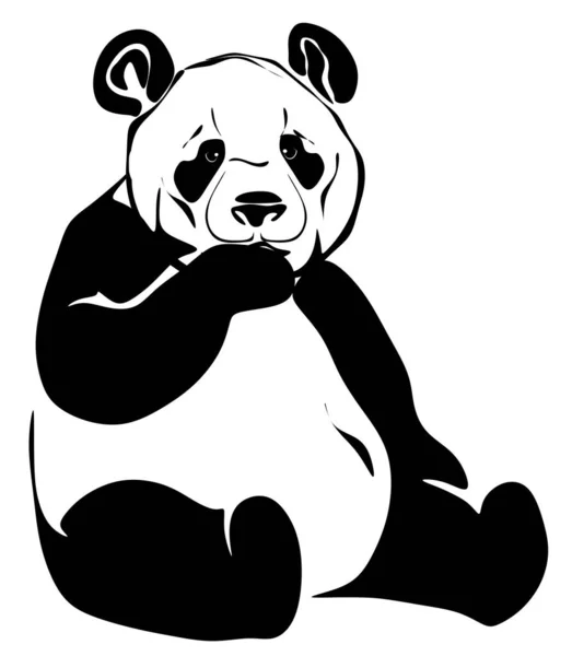 Panda Noir Blanc Assis — Photo