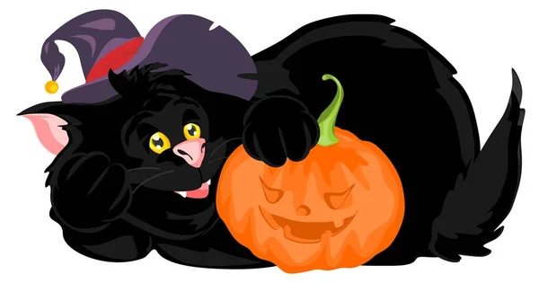 Halloween Černá Kočka Oranžovou Dýní — Stock fotografie