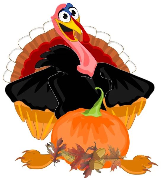 Happy Thanksgiving Day Funny Turkey — Stock Photo, Image