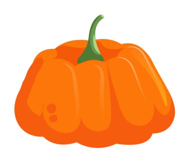 Beyaz arkaplanda izole edilmiş turuncu balkabağı