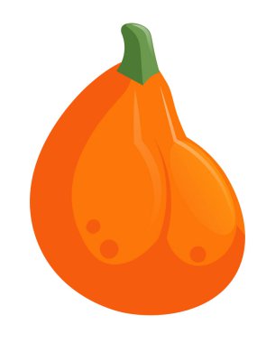 Sonbahar hasat kabağı beyazda izole.